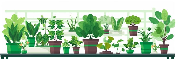 Unlocking the Secrets of Hydroponics: Your Ultimate Guide to a Successful Indoor Garden