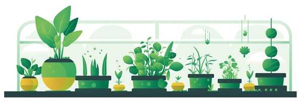 Unlock the Secrets of Hydroponics: Top Questions Answered for Beginners and Experts
