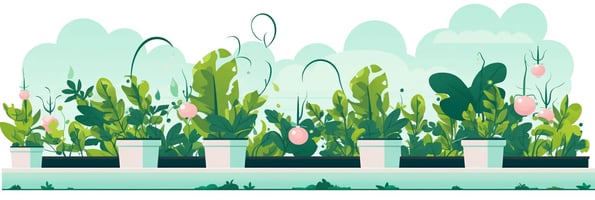 Unlock the Secrets of Hydroponics: Your Ultimate Guide to Success in Soilless Gardening