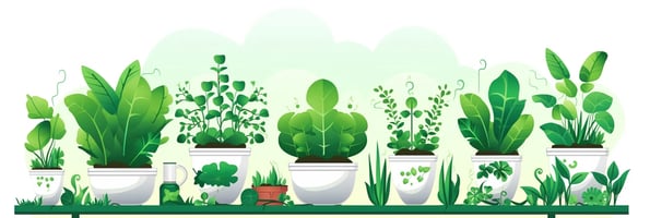 Unlock the Secrets of Hydroponics: A Comprehensive Guide to the Top Questions and Answers