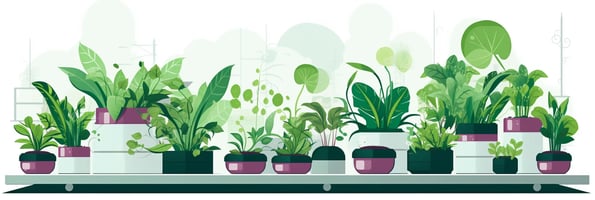 Unlocking the Future of Gardening: Everything You Need to Know About Hydroponics and Why It's Trending