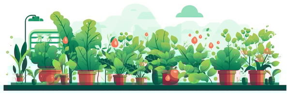 Mastering Hydroponics: Your Ultimate Guide to Answering the Top Questions in 2023
