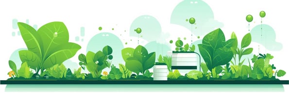 The Ultimate Guide to Hydroponics: Top Questions Answered and Tips for Beginners