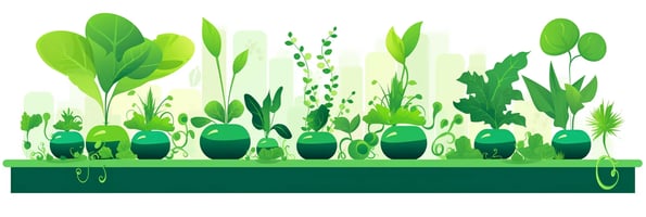 Hydroponics 101: How to Grow Plants Without Soil and Boost Your Yields