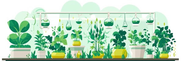 The Ultimate Guide to Hydroponics: All Your Questions Answered