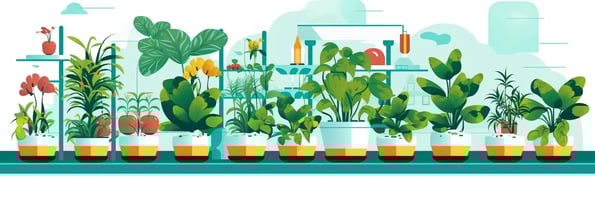 Unlock the Secrets of Hydroponics: Your Comprehensive Guide to Growing Plants Indoors