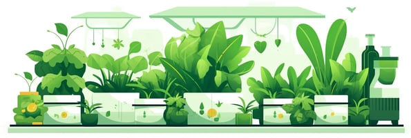 Unlock the Power of Water: Your Ultimate Guide to Hydroponics and How it's Revolutionizing the Gardening World
