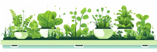 Ultimate Guide to Hydroponics: Top Questions Answered for Boosting Your Indoor Garden