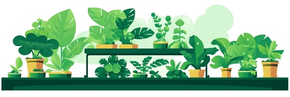 Unlocking the Secrets of Hydroponics: Your Ultimate Guide to Indoor Gardening