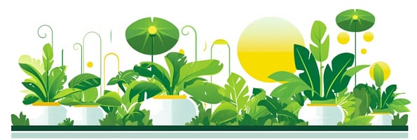 Mastering Hydroponics: Your Ultimate Guide to Soil-less Gardening