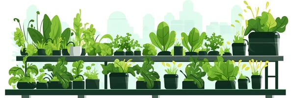 The Ultimate Guide to Hydroponics: Everything You Need to Know for Growing Plants at Home