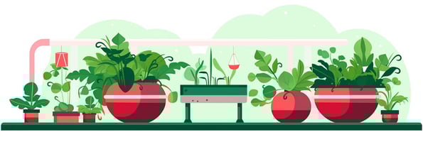 Hydroponics 101: Everything You Need to Know About Growing Plants without Soil