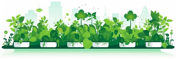 Unveiling the Secrets of Hydroponics: Your Ultimate Guide to Water-Based Gardening