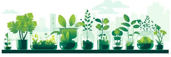 Unveiling Hydroponics: Top Questions Answered and Why it's Changing the Future of Gardening