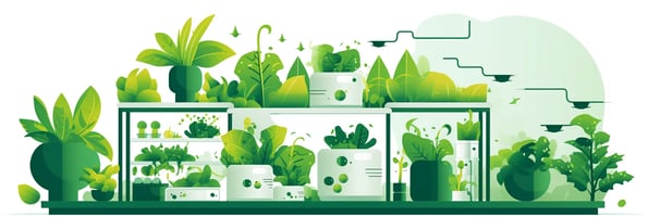 Unlocking the Secrets of Hydroponics: Your Ultimate Guide to Success in Soil-less Gardening