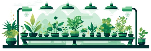 Ultimate Guide to Hydroponics: Top Questions Answered & Secrets Unveiled for a Thriving Indoor Garden