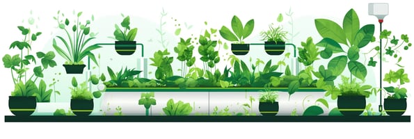 The Ultimate Guide to Hydroponics: Top Questions Answered for Your Green Thumb Success