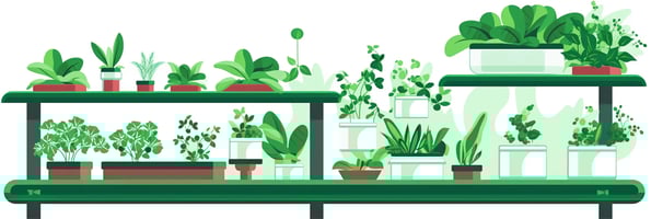 Top 10 Questions Answered About Hydroponics: The Ultimate Guide for Beginners