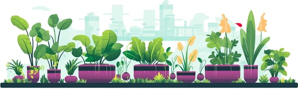 Unlock the Secrets of Hydroponics: The Top Questions Everyone is Asking