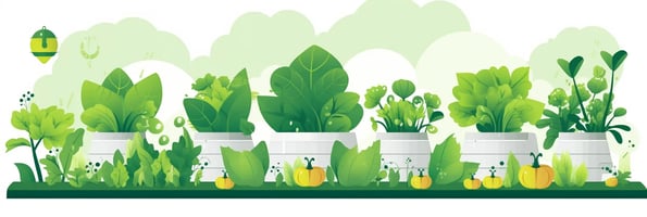 Mastering Hydroponics: Your Ultimate Guide to the Top 10 Questions Answered