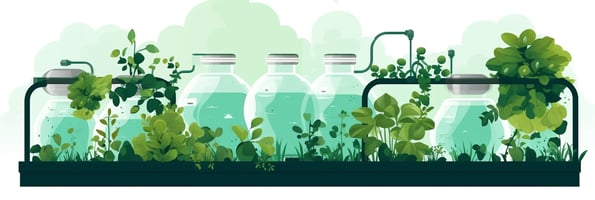 Unlocking the Secrets of Hydroponics: Your Ultimate Guide to Soil-Free Farming