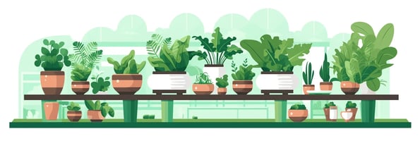 Unlocking the Future of Gardening: Top 10 Questions Answered About Hydroponics
