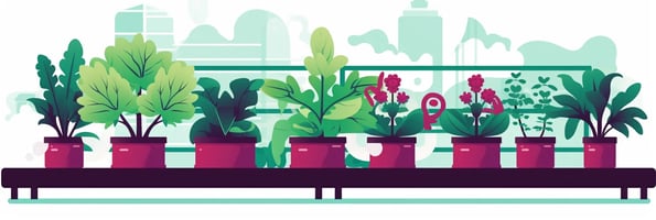 Ultimate Guide to Hydroponics: Top Questions Answered about Soil-Free Gardening for Bumper Yields