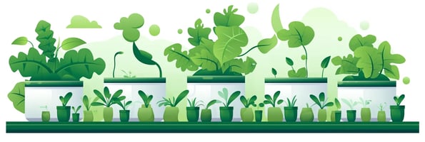 10 Essential Hydroponics Tips: Your Ultimate Guide to Growing Plants without Soil