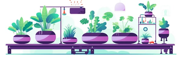 Unlocking the Secrets of Hydroponics: A Comprehensive Guide to Soilless Farming