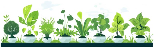 Hydroponics 101: The Complete Guide to Growing Plants Without Soil