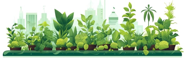 Unlock the Secrets of Hydrophonics: Your Complete Guide to Thriving Indoor Gardens