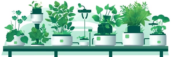 Hydroponics Uncovered: The Ultimate Guide to Mastering Indoor Gardening