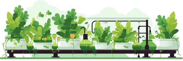 Hydroponics 101: How to Grow Plants Without Soil - The Ultimate Guide