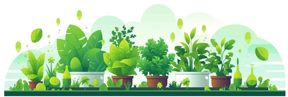 Unlock the Secrets of Hydroponics: A Comprehensive Guide for Beginners