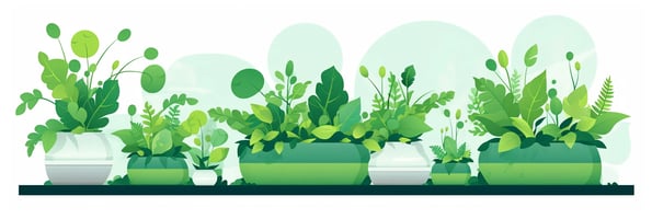 Hydroponics 101: Your Ultimate Guide to Soil-less Gardening - All Questions Answered!