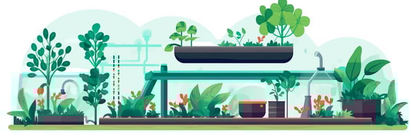 Hydroponics 101: Answers to Your Top Questions, Revealed!