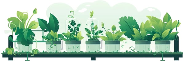 The Ultimate Guide to Hydroponics: Top Questions Answered for Green Thumb Beginners