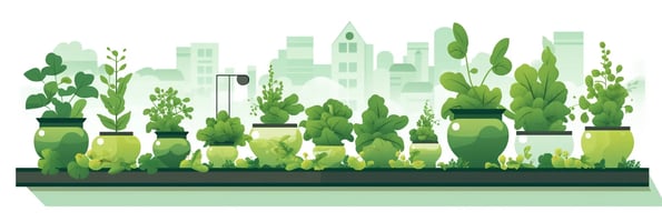 Unlocking the Secrets of Hydroponics: Your Ultimate Guide to Soil-less Gardening Success