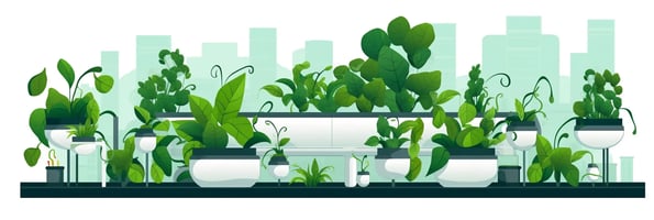 Hydroponics 101: How to Grow Plants Without Soil and Boost Your Harvests