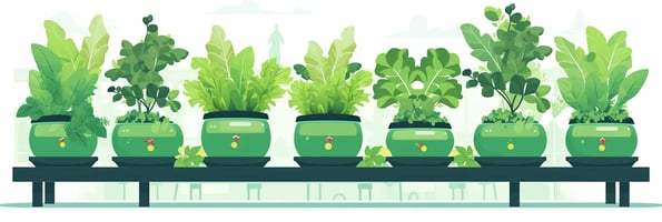 Unlocking the Future of Gardening: Your Ultimate Guide to Hydroponics and How It Can Transform Your Home