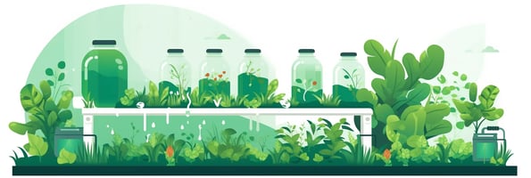 Hydroponics 101: Your Ultimate Guide to Soilless Gardening