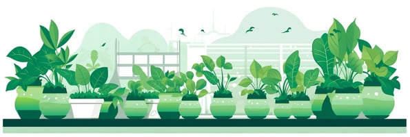 The Ultimate Guide to Hydroponics: Top Questions Answered and Proven Tips for Success