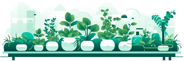 Mastering Hydroponics: Top Questions Answered and Essential Tips for High Yield Gardens
