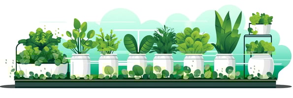 Hydroponics 101: Your Ultimate Guide to Growing Plants Without Soil