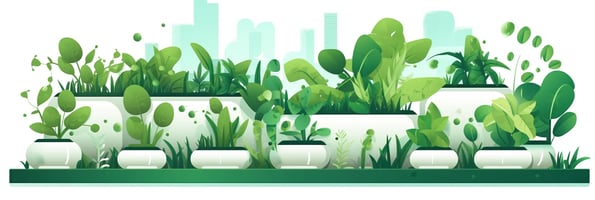 Mastering Hydroponics: Your Comprehensive Guide to Getting Started and Achieving Success