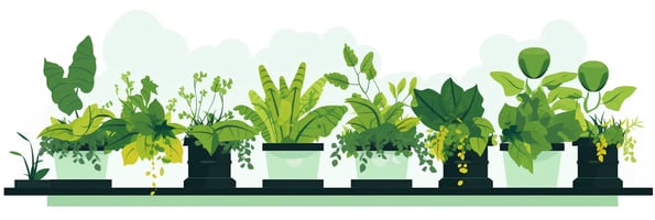 Hydroponics 101: Everything You Need to Know about Growing Plants without Soil