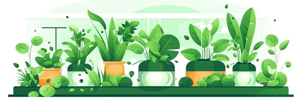 Unlocking the Secrets of Hydroponics: The Ultimate Guide to Mastering Indoor Gardening