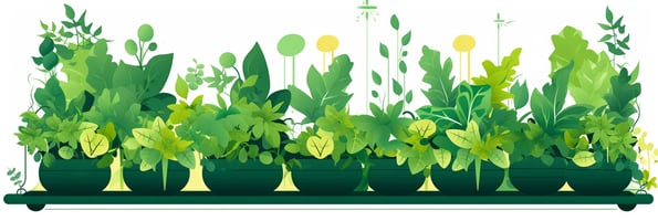 Mastering Hydroponics: A Comprehensive Guide to Your Top Questions