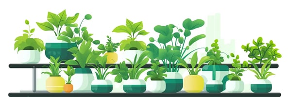 Hydroponics 101: What Are the Best Plants to Grow Hydroponically?