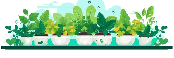 Hydroponics 101: The Ultimate Guide to Your DIY Indoor Garden
